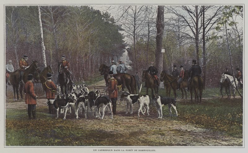 Risteys Foret de Rambouillet