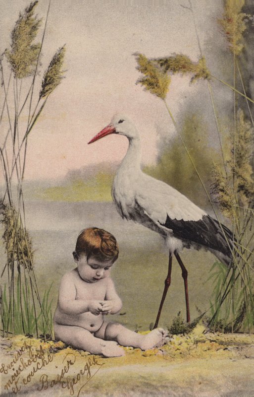 Vauva haikara kanssa tekijältä French Photographer