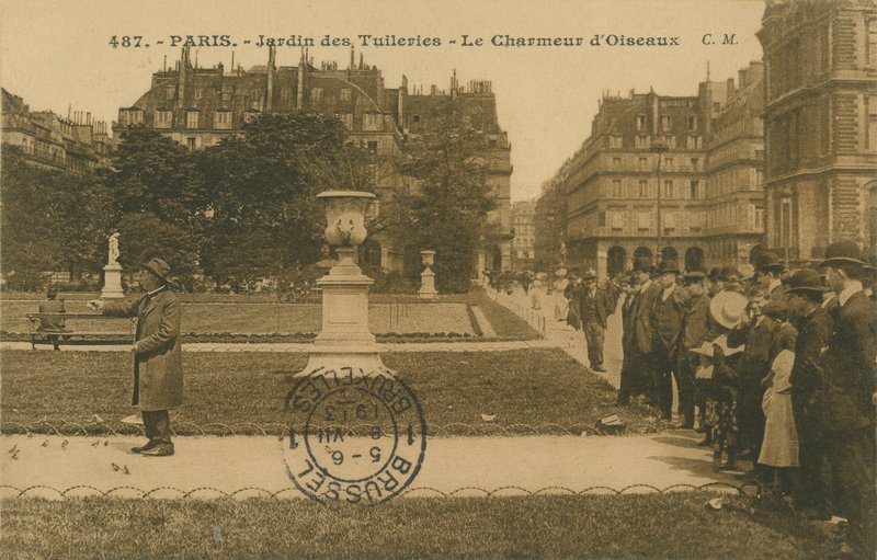 Lintuharrastaja Jardin des Tuileries