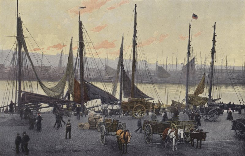 Boulogne-sur-Mer, Valmistelut silakan kalastukseen tekijältä French Photographer