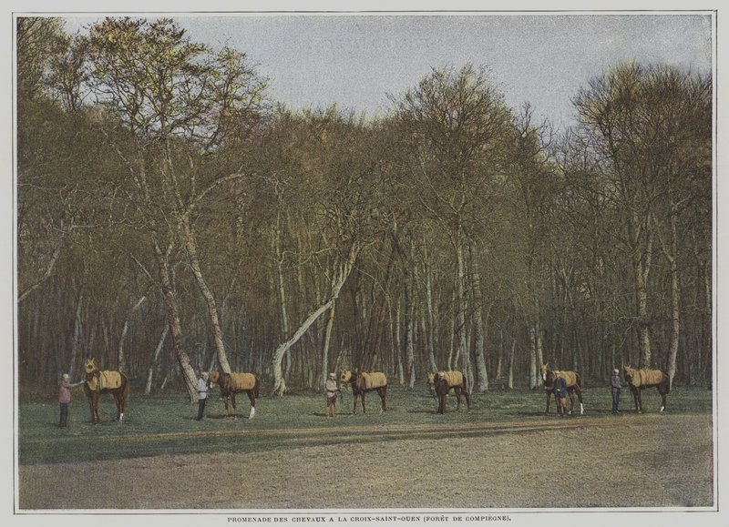 Kilpahevosten harjoittelua La Croix-Saint-Ouenissa Foret de Compiegnessa, Ranskassa (värikuva) tekijältä French Photographer