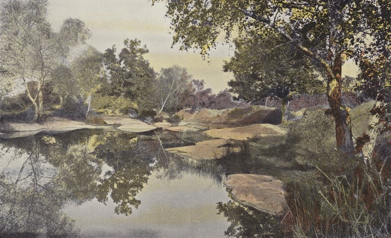 Fontainebleau, Metsä, Mare de Franchard tekijältä French Photographer