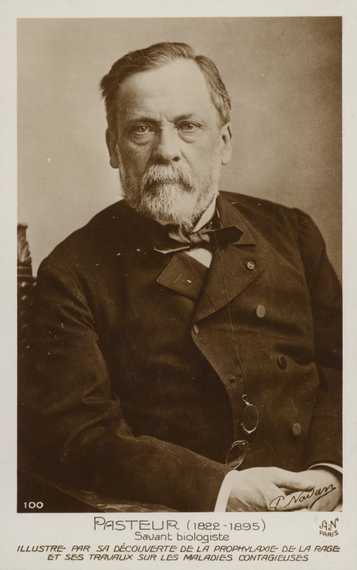 Louis Pasteur (1822-1895), ranskalainen kemisti ja mikrobiologi tekijältä French Photographer