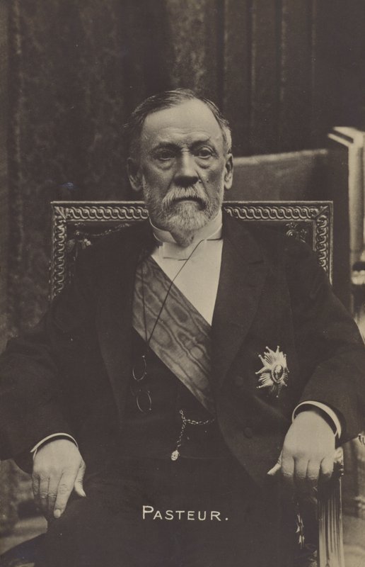 Louis Pasteur (1822-1895), ranskalainen kemisti ja mikrobiologi tekijältä French Photographer