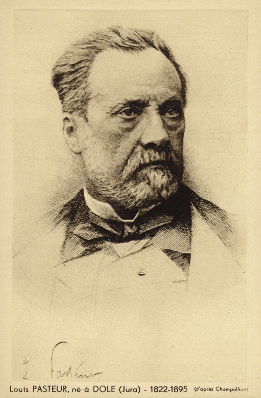 Louis Pasteur (1822-1895), ranskalainen kemisti ja mikrobiologi tekijältä French Photographer