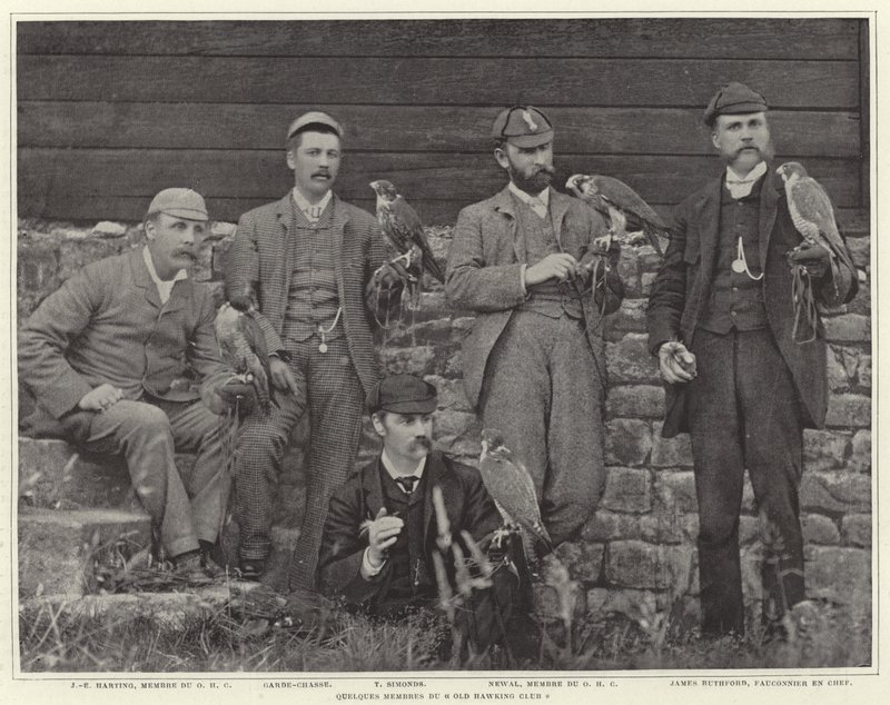 Old Hawking Clubin jäseniä tekijältä French Photographer