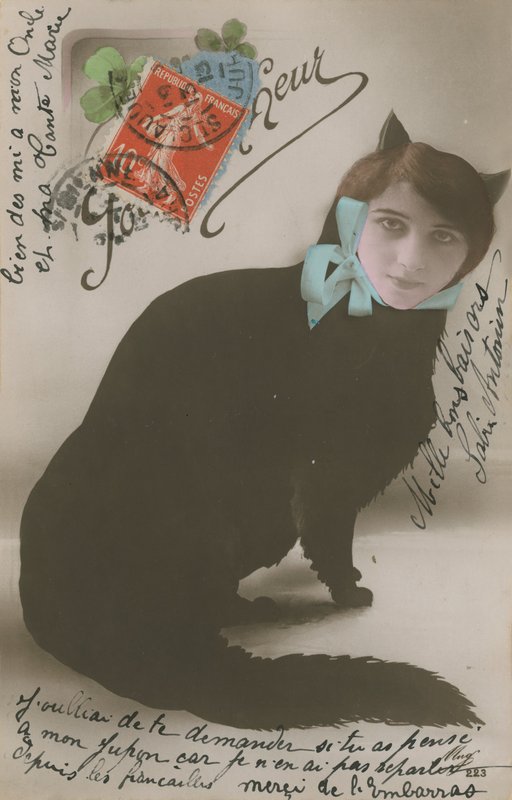 Postikortti kissasta naisen kasvoilla, lähetetty vuonna 1913 tekijältä French Photographer