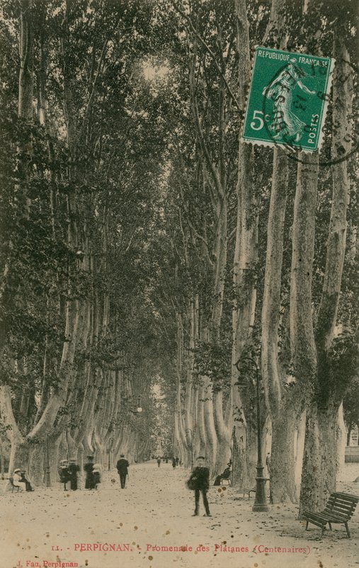 Promenade des Platanes Perpignanissa. Postikortti lähetetty 1913. tekijältä French Photographer