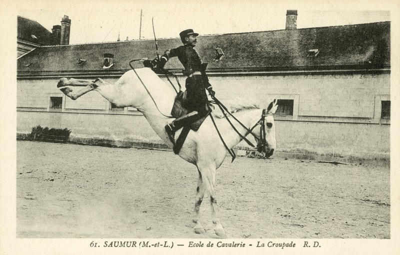 Saumur (Maine-et-Loire), ratsuväkikoulu, La Croupade tekijältä French Photographer