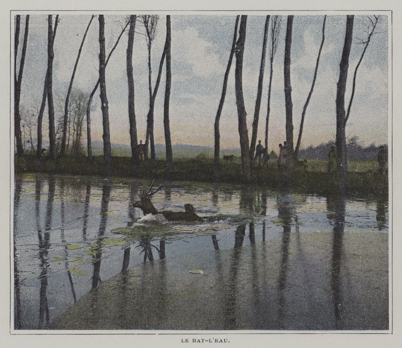 Polttarit paeta metsästystä (värikuva) tekijältä French Photographer