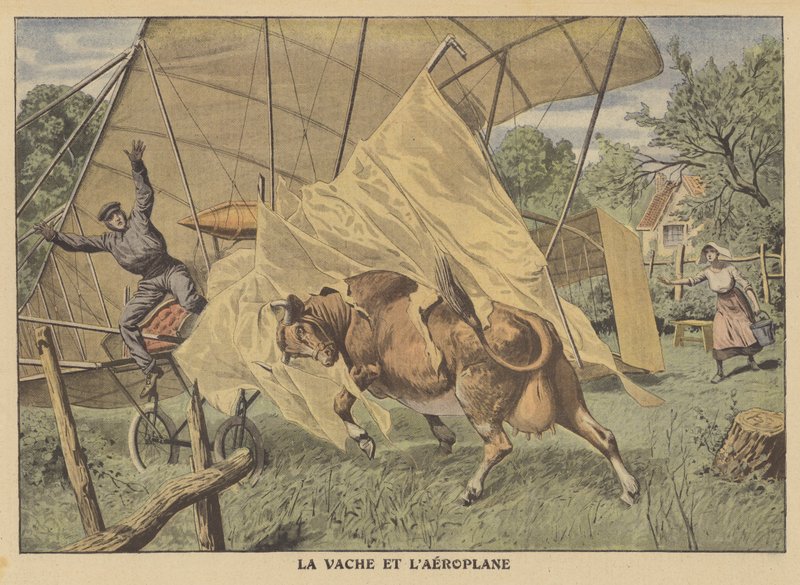Lehmä hyökkää lentokoneeseen Amerikan keskilännessä (värilitho) tekijältä French School