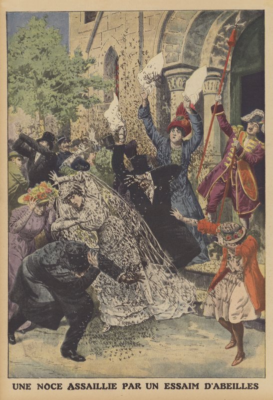 Mehiläisparven hyökkäämät häät (väri litho) tekijältä French School
