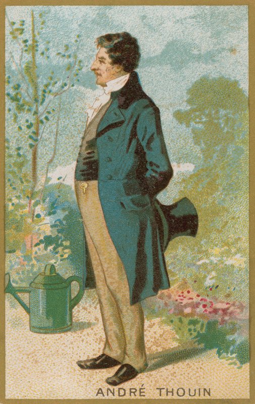 Andre Thouin tekijältä French School