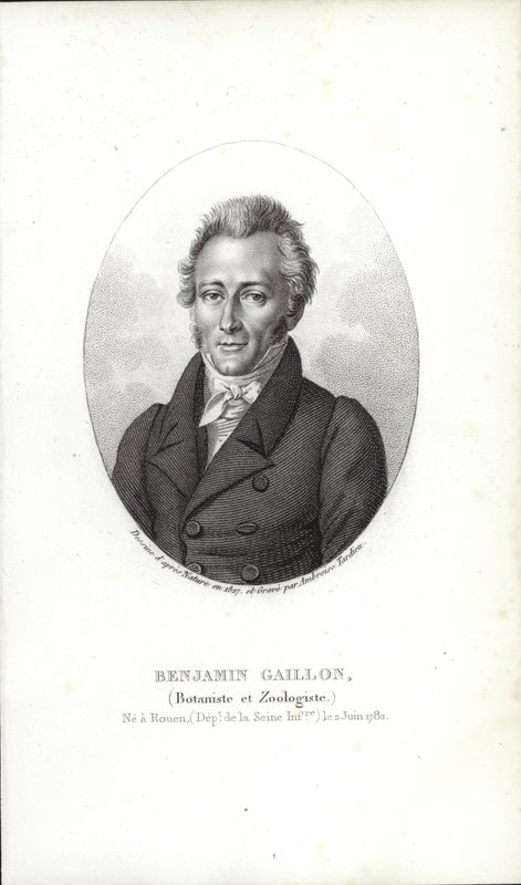 Benjamin Gaillon tekijältä French School