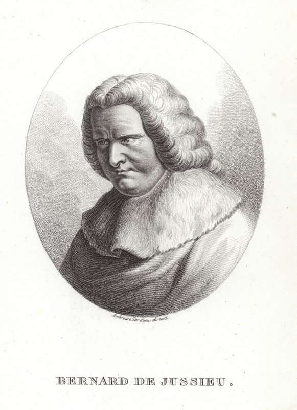 Bernard Jussieulainen tekijältä French School
