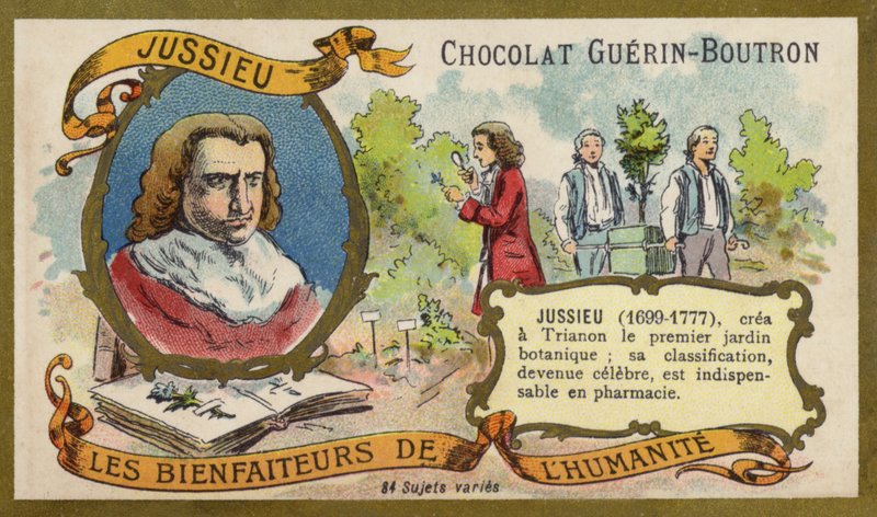 Bernard de Jussieu, ranskalainen luonnontieteilijä (chromolitho) tekijältä French School