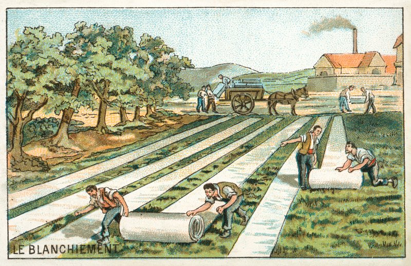 Valkaisu (chromolitho) tekijältä French School