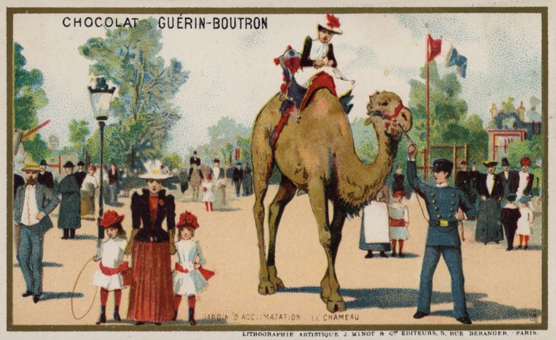 Camel, Jardin d