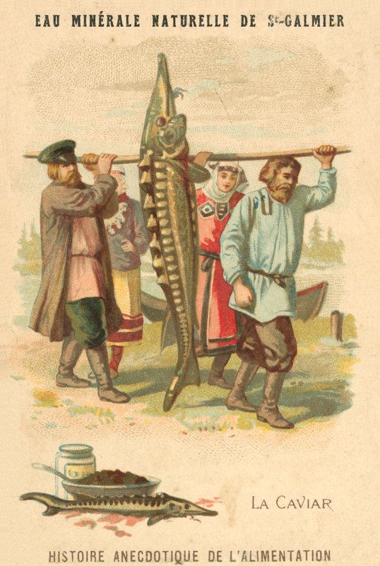 Kaviaari (chromolitho) tekijältä French School