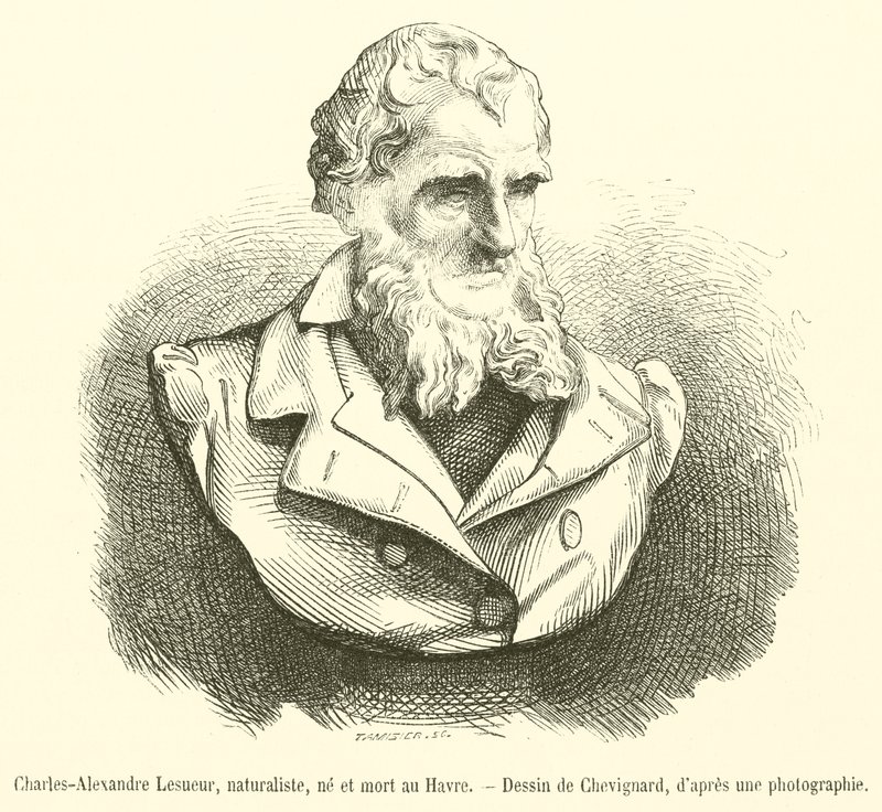 Charles-Alexandre Lesueur, luonnontieteilijä, syntynyt ja kuollut Le Havressa (kaiverrus) tekijältä French School