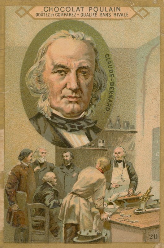 Claude Bernard, Chocolat Poulain -kauppakortti tekijältä French School
