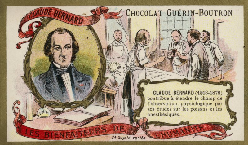 Claude Bernard, ranskalainen fysiologi (chromolitho) tekijältä French School