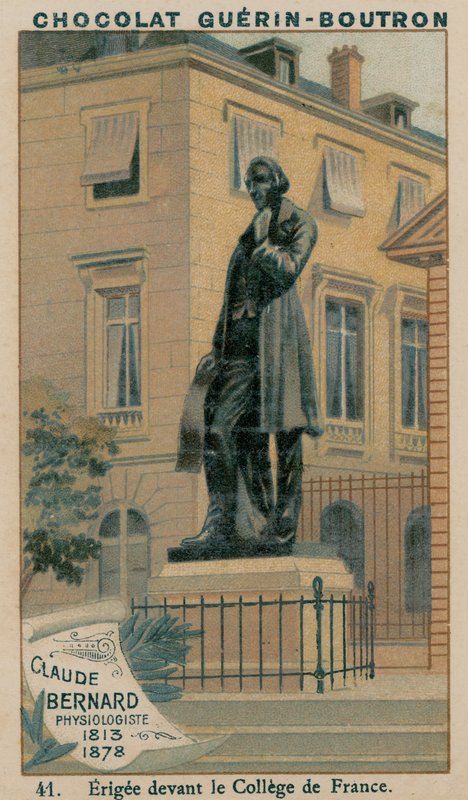Claude Bernard, fysiologi, 1813-1878, pystytetty College de Francen eteen tekijältä French School