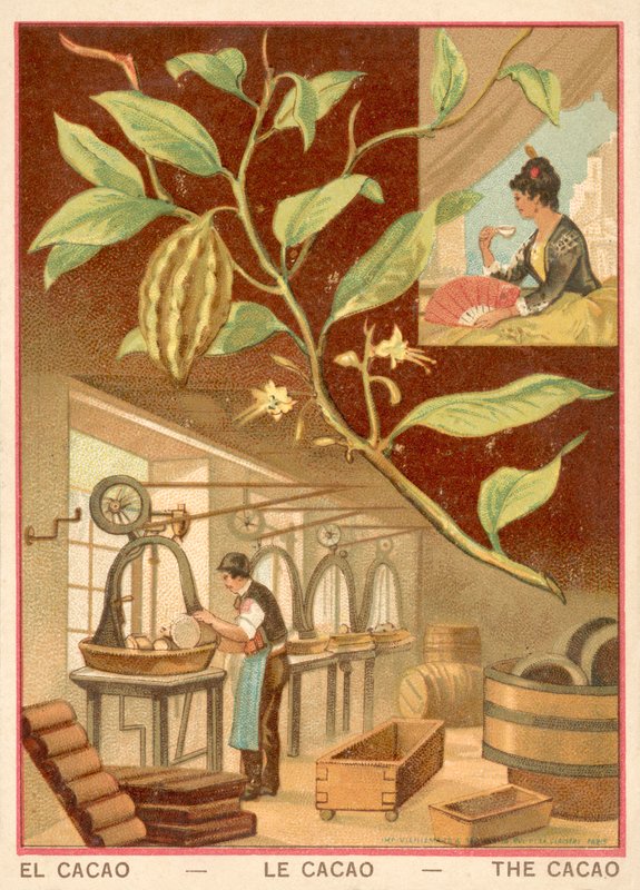 Kaakao (chromolitho) tekijältä French School