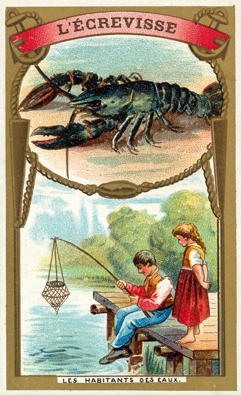 Rapu (chromolitho) tekijältä French School