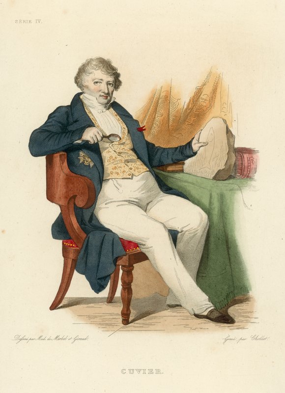 Cuvier (värillinen kaiverrus) tekijältä French School