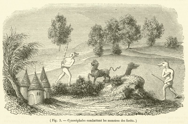 Kynokefalit taistelevat metsähirviöitä vastaan ​​(kaiverrus) tekijältä French School