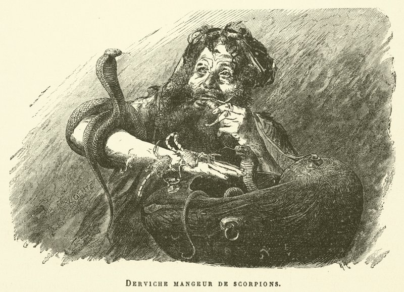 Dervish Eater Of Scorpions (kaiverrus) tekijältä French School