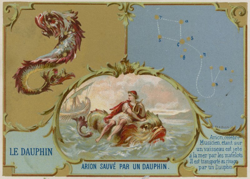 Delfiini - delfiini pelastaa Arionin tekijältä French School