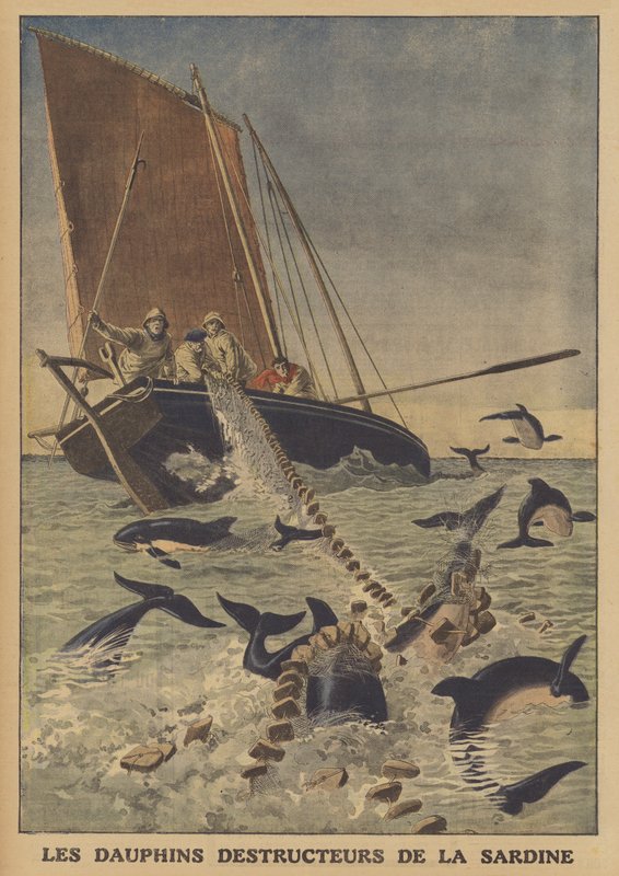 Delfiinit häiritsevät sardiinien pyyntiä (väri litho) tekijältä French School