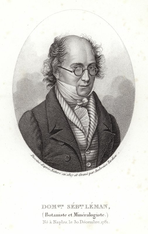 Dominique Sebastion Leman tekijältä French School