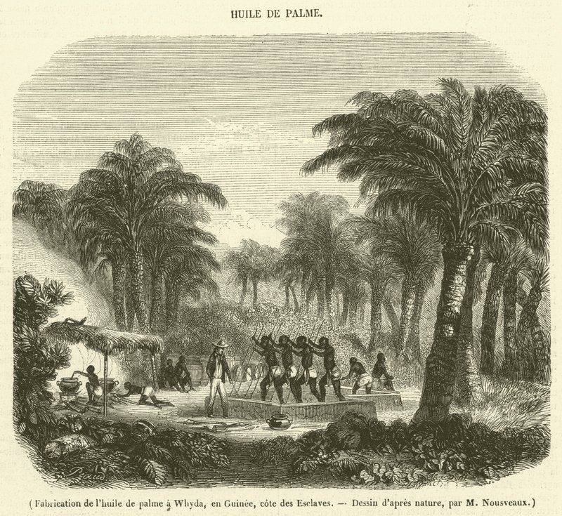 Palmuöljyn valmistus Whydassa, Guineassa, Slave Coastissa (kaiverrus) tekijältä French School