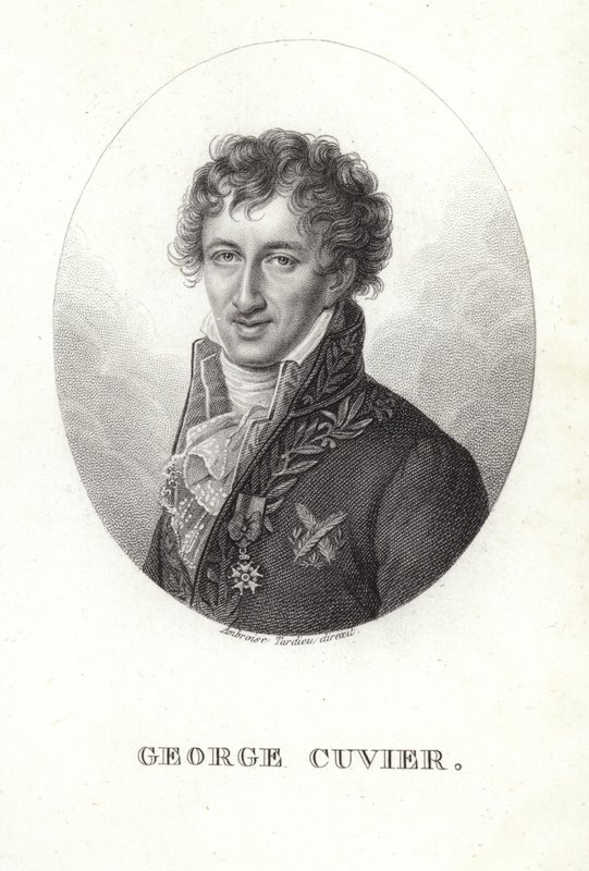 George Cuvier tekijältä French School