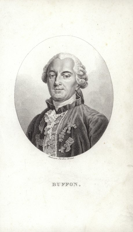 Georges-Louis Leclerc tekijältä French School