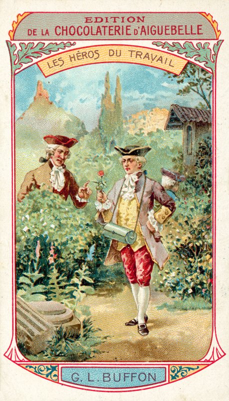 Georges-Louis Leclerc, Comte de Buffon, ranskalainen luonnontieteilijä (chromolitho) tekijältä French School