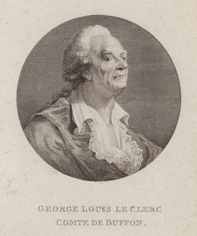 Georges-Louis Leclerc, Comte de Buffon, ranskalainen luonnontieteilijä (kaiverrus) tekijältä French School
