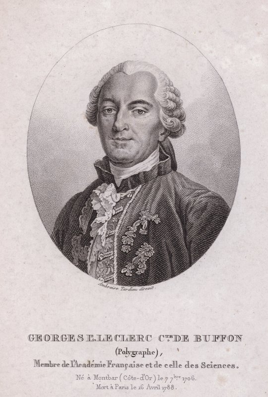 Georges-Louis Leclerc, Comte de Buffon, ranskalainen tiedemies ja kirjailija (kaiverrus) tekijältä French School