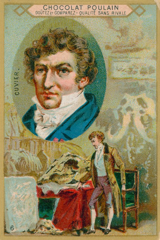 George Cuvier tekijältä French School
