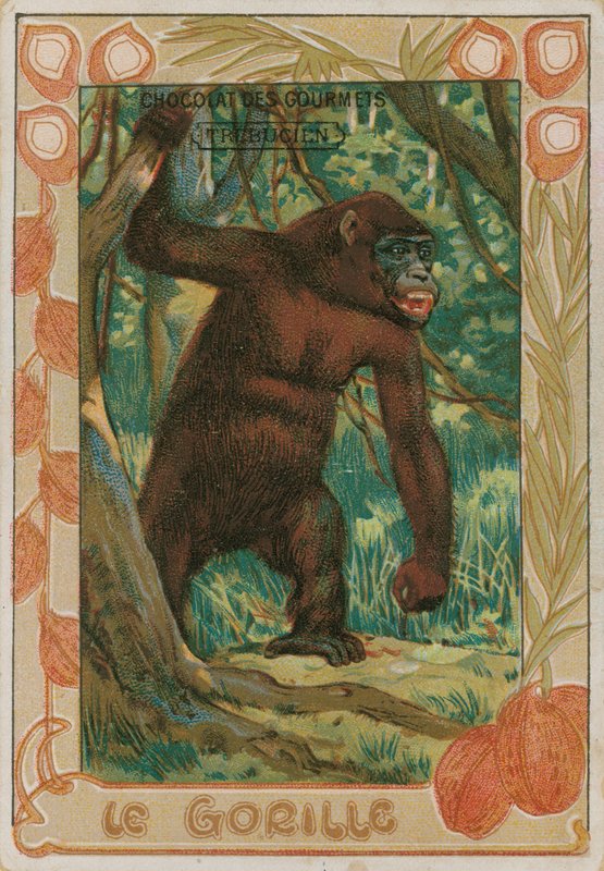 Gorilla tekijältä French School
