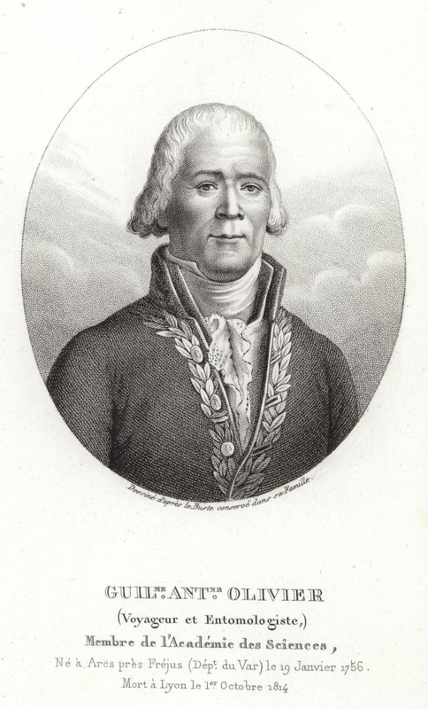 Guillaume Antoine Olivier tekijältä French School