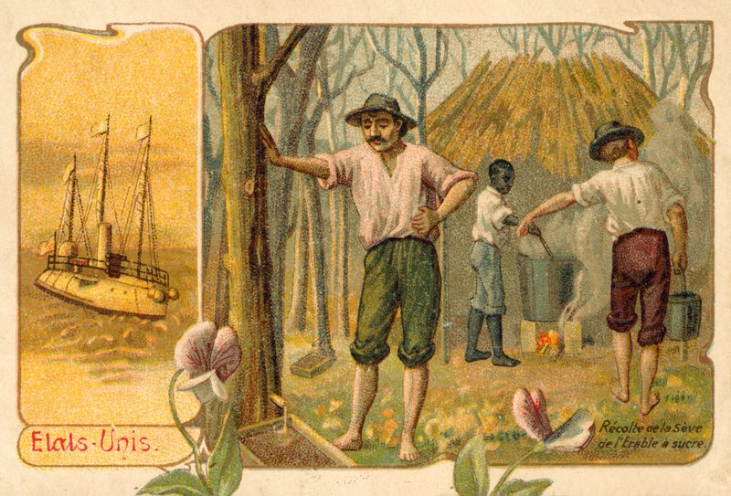 Vaahteran mahlan korjuu vaahterasiirapin valmistamiseksi, Yhdysvallat (chromolitho) tekijältä French School