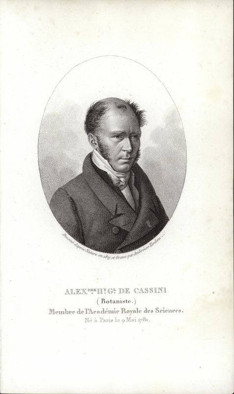Henry Cassini tekijältä French School