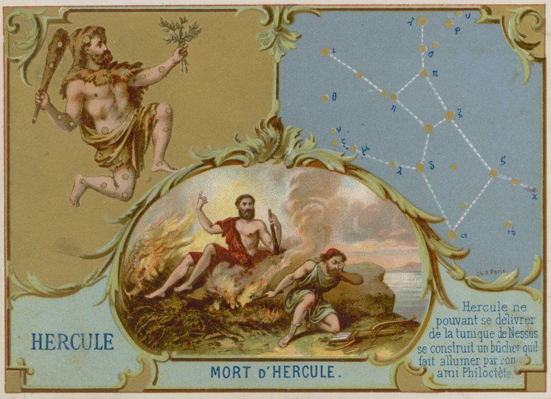 Hercules tekijältä French School