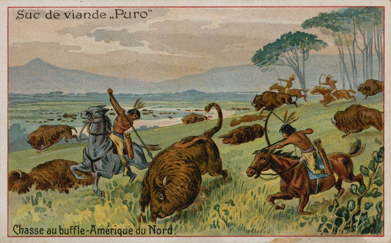 Buffalo metsästys Pohjois-Amerikassa tekijältä French School