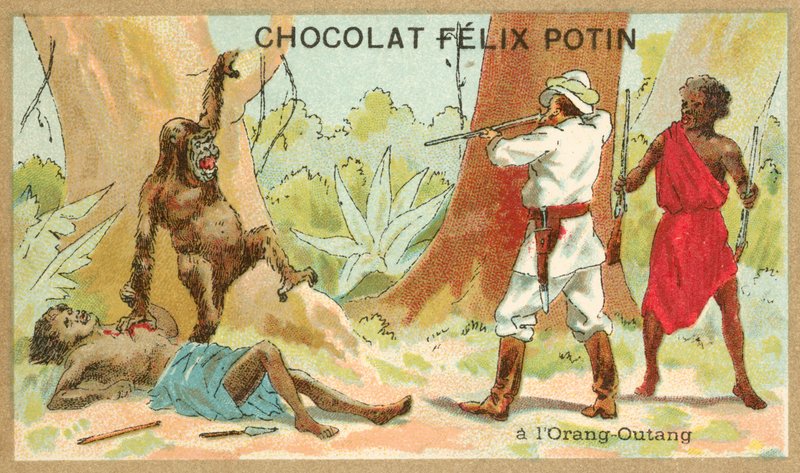 Metsästys orangutan (chromolitho) tekijältä French School