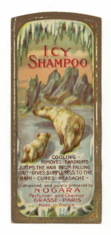 Icy Shampoo Label, Nogara tekijältä French School